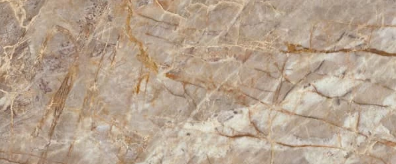 Natural Root - Bruno paul